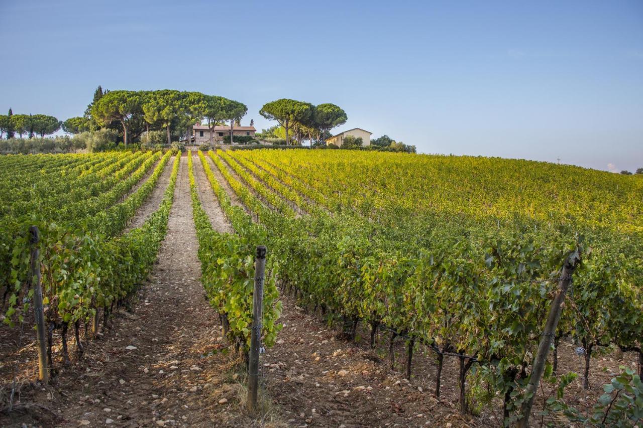 Fattoria Di Magliano Winery Villa Magliano in Toscana Exterior foto