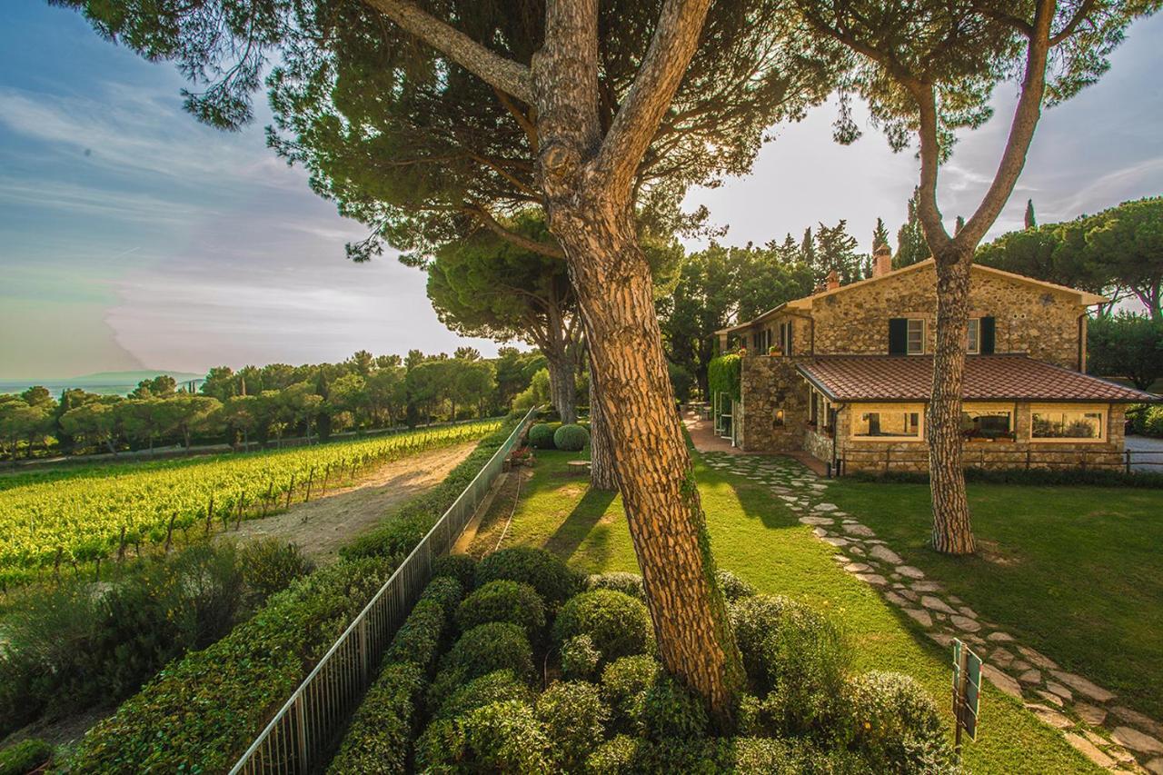 Fattoria Di Magliano Winery Villa Magliano in Toscana Exterior foto