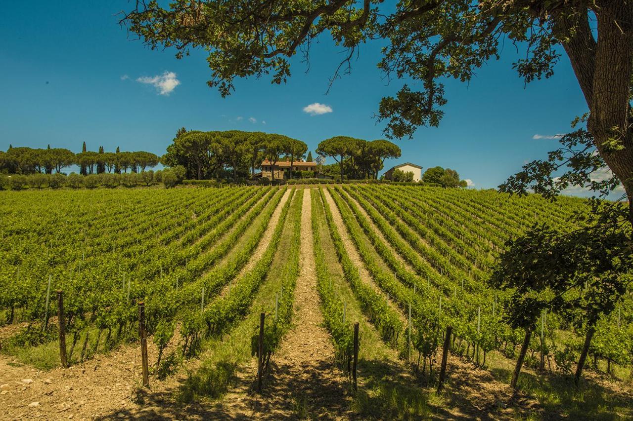 Fattoria Di Magliano Winery Villa Magliano in Toscana Exterior foto