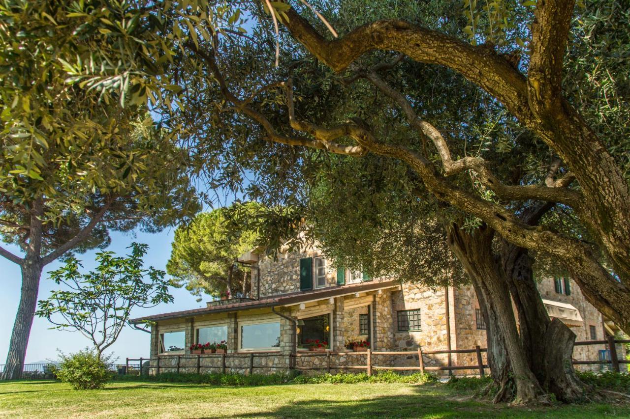 Fattoria Di Magliano Winery Villa Magliano in Toscana Exterior foto
