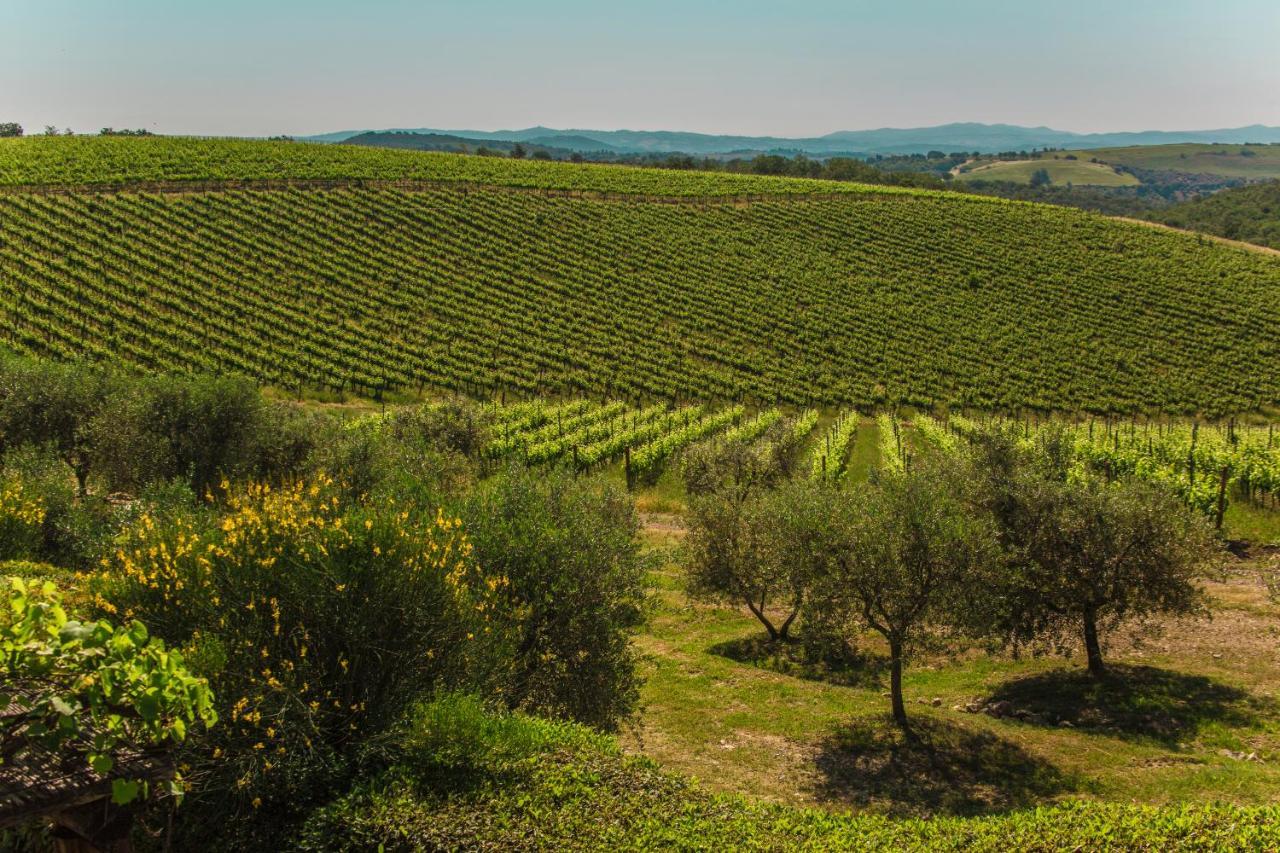 Fattoria Di Magliano Winery Villa Magliano in Toscana Exterior foto